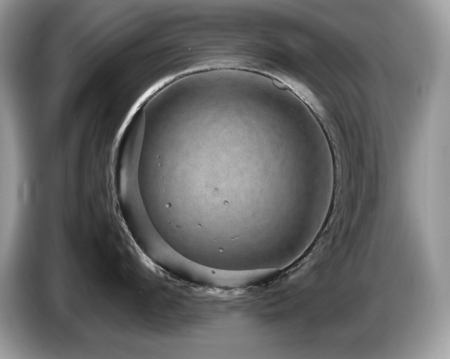 X0000087580912200704271303