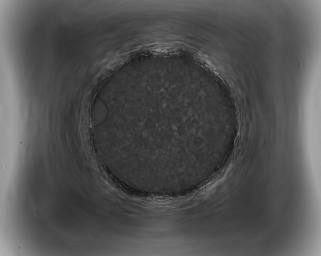 X0000087580913200704271302