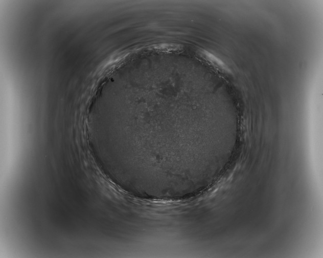 X0000087580917200704271302