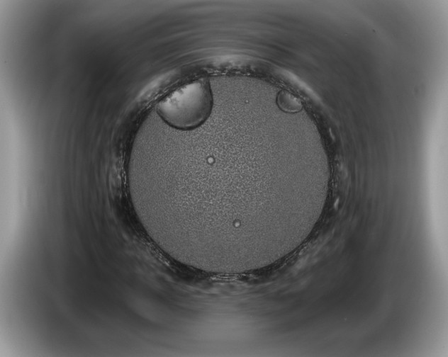 X0000087580918200704271302
