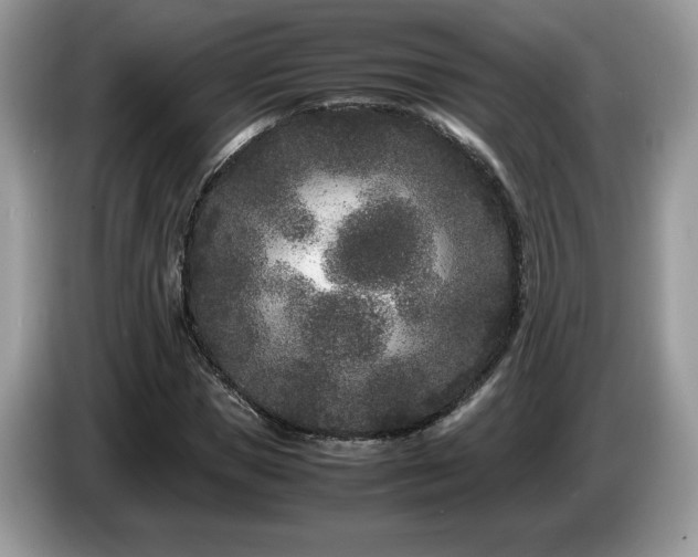 X0000087580921200704271302