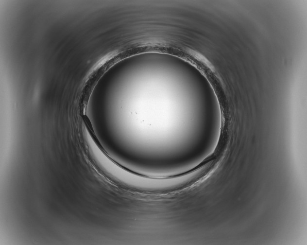 X0000087580922200704271302