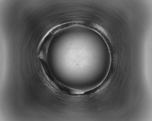 X0000087580923200704271302