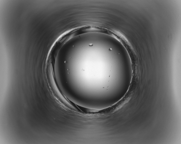 X0000087580924200704271302