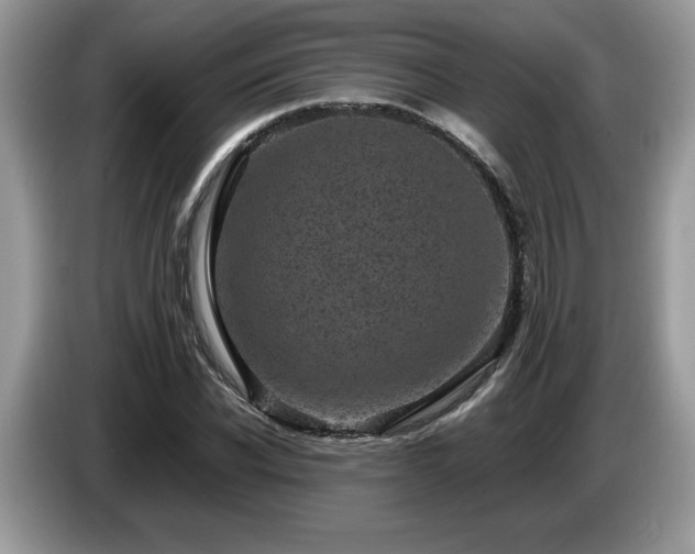 X0000087580926200704271302