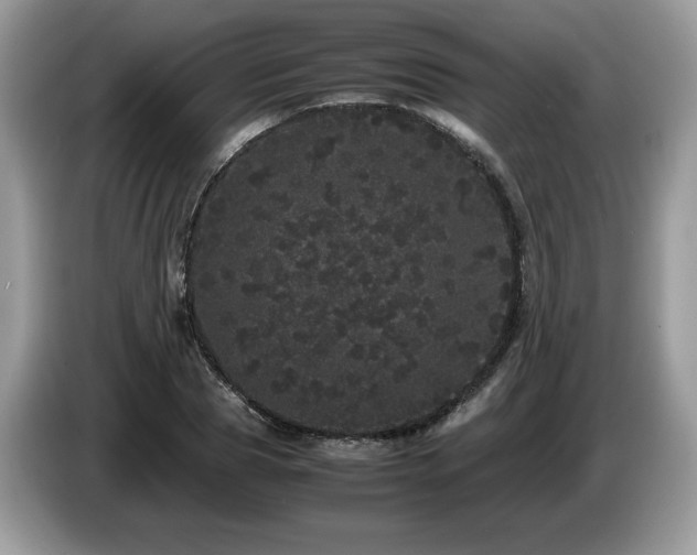 X0000087580929200704271302