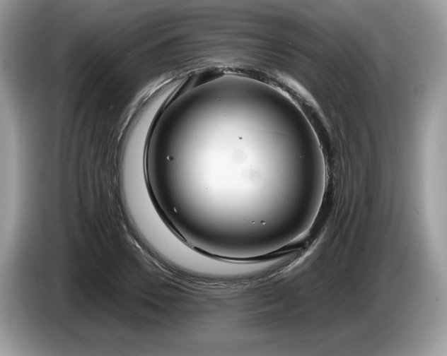 X0000087580930200704271302