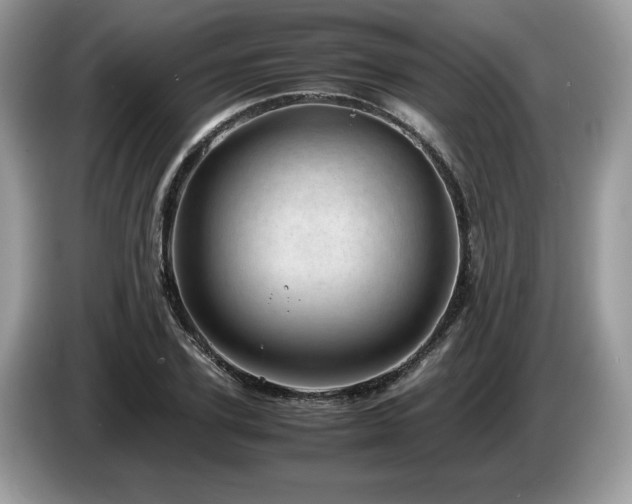 X0000087580931200704271302