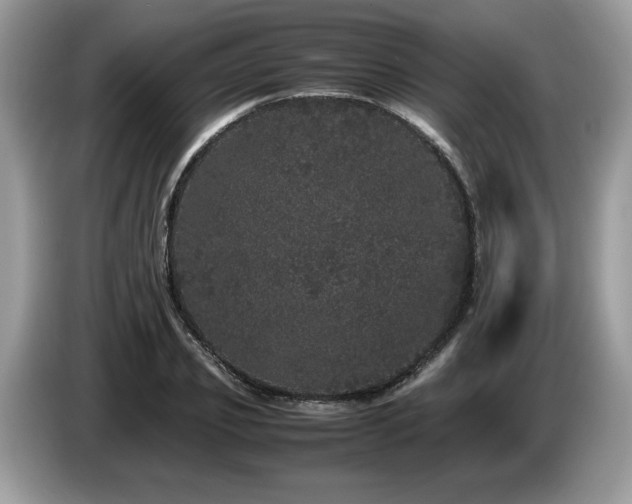X0000087580933200704271302