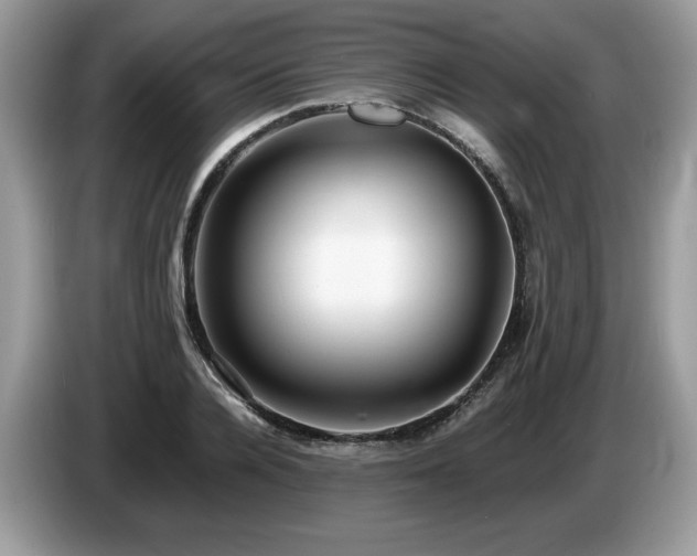 X0000087580936200704271302