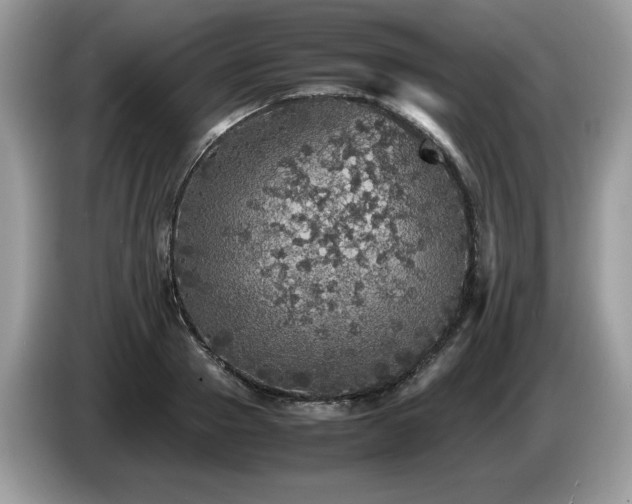 X0000087580937200704271302