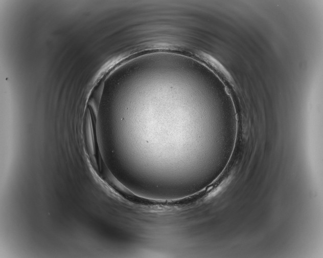 X0000087580938200704271302