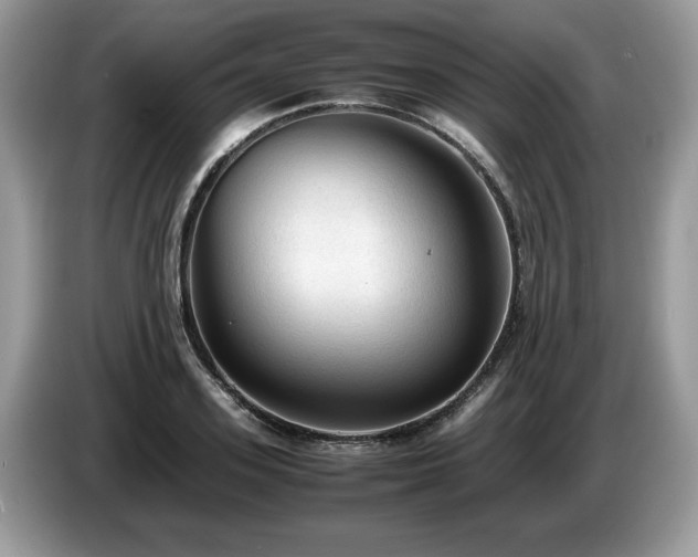 X0000087580939200704271302