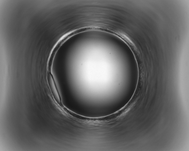 X0000087580940200704271302