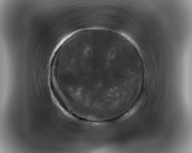 X0000087580941200704271302