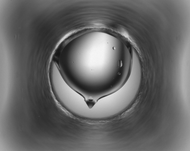 X0000087580942200704271302