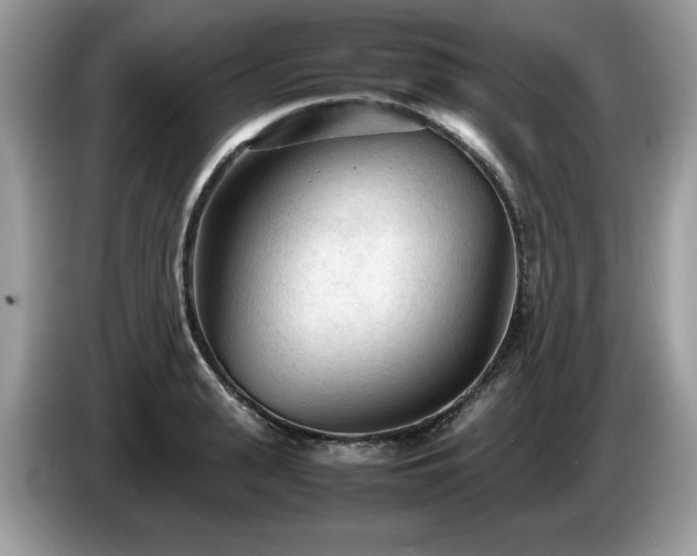 X0000087580943200704271302