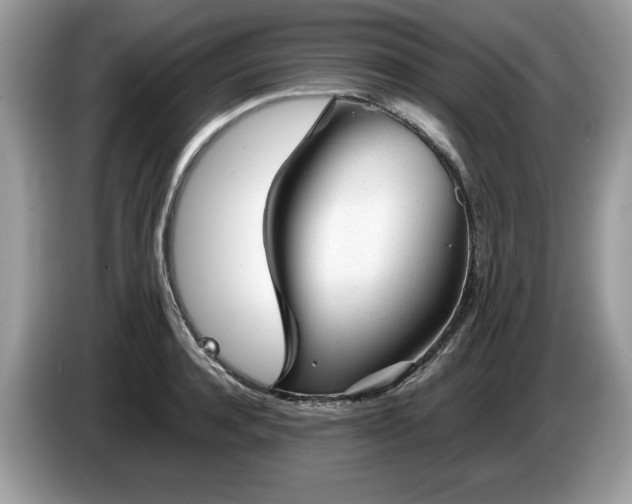 X0000087580944200704271302