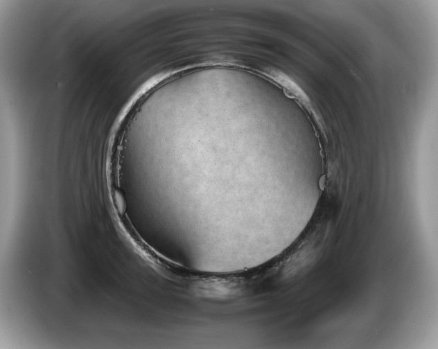 X0000087580947200704271303