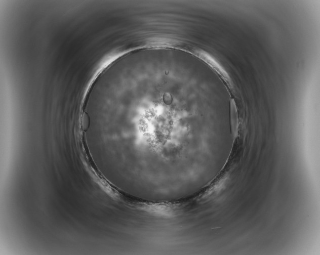 X0000087580948200704271303