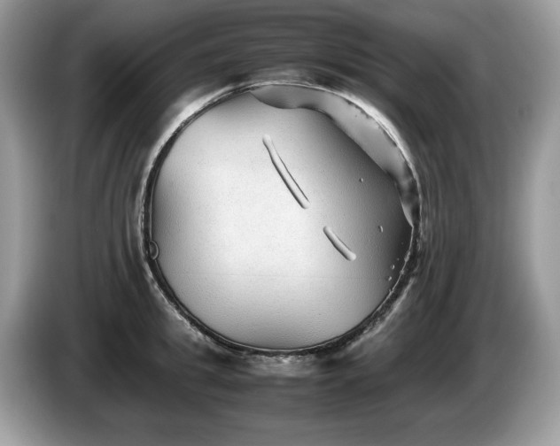 X0000087580949200704271303