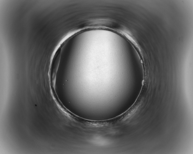 X0000087580951200704271303