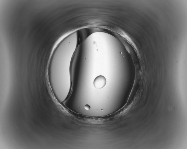 X0000087580952200704271303