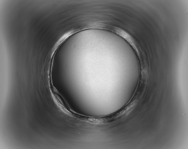 X0000087580954200704271303