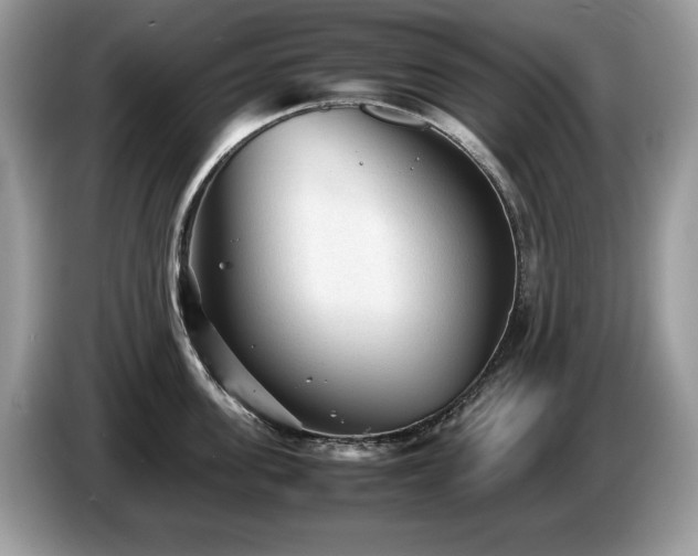 X0000087580955200704271303