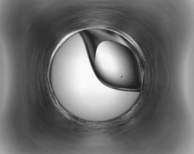 X0000087580956200704271303