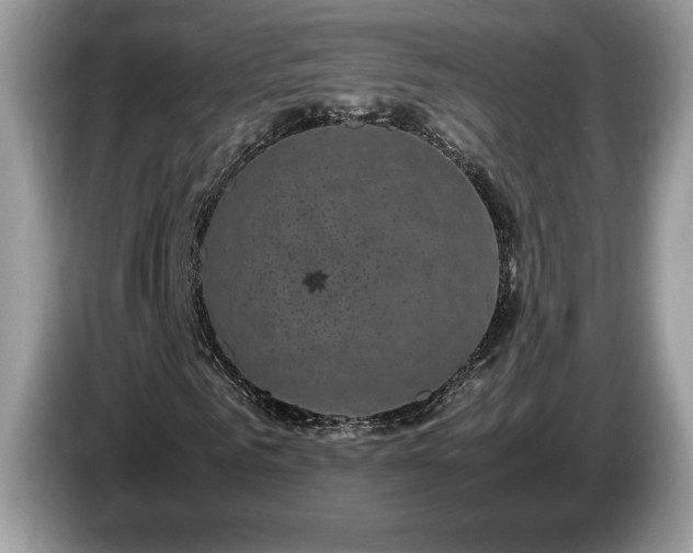 X0000087580961200704271302