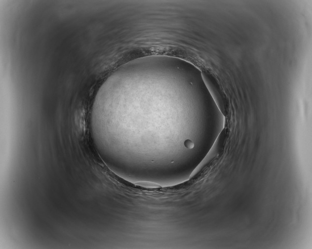 X0000087580962200704271302