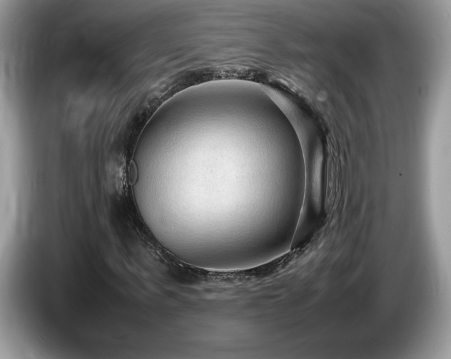 X0000087580963200704271302