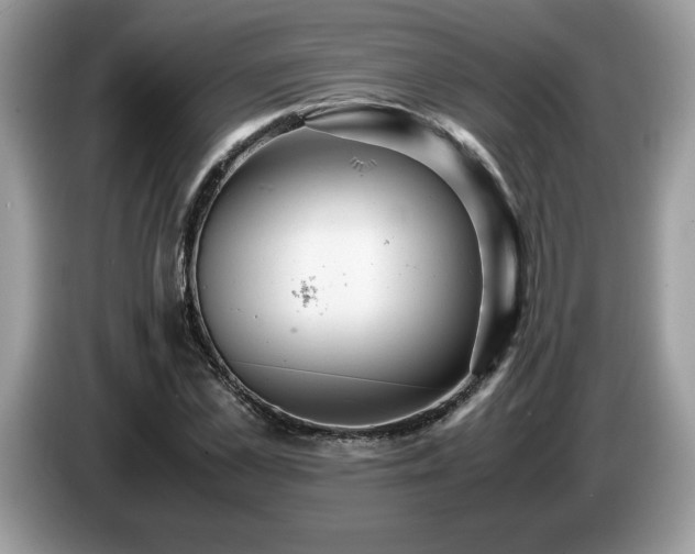 X0000087580973200704271302