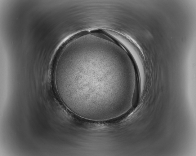 X0000087580975200704271302