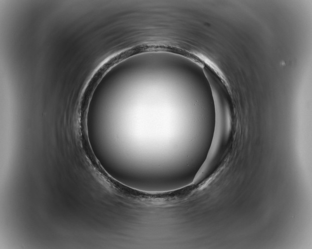 X0000087580976200704271302