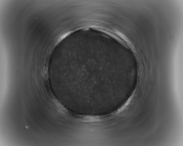 X0000087580977200704271302