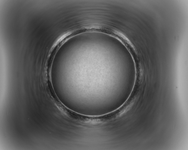 X0000087580978200704271302