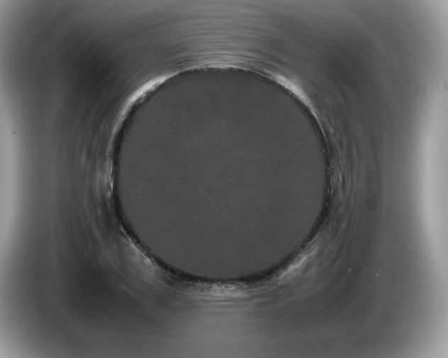 X0000087580979200704271302