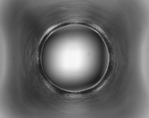 X0000087580981200704271302