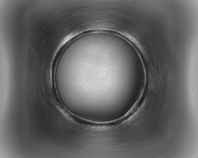 X0000087580982200704271302