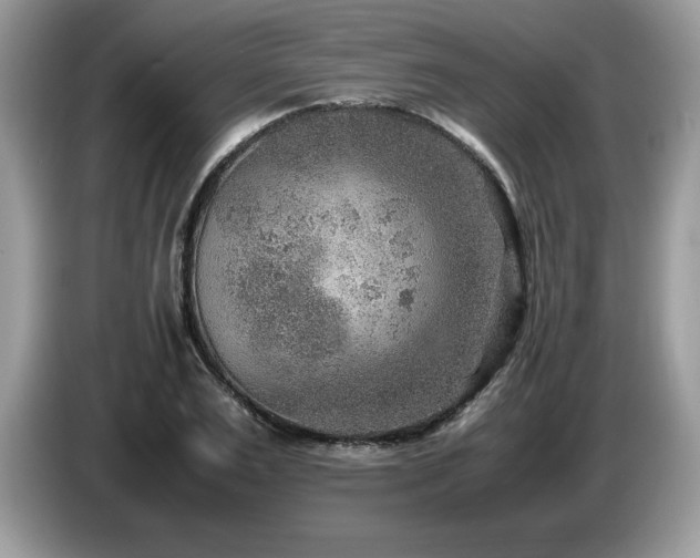 X0000087580983200704271302