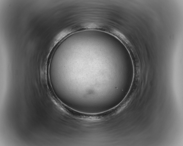 X0000087580986200704271302