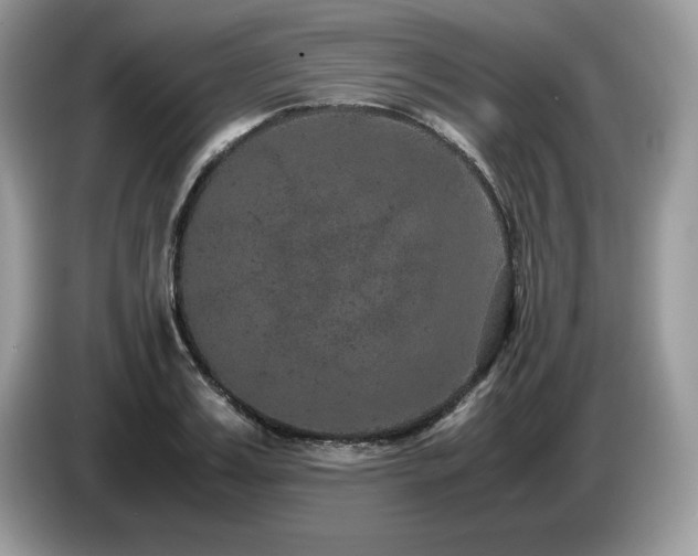 X0000087580987200704271302