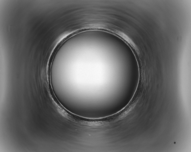X0000087580988200704271302