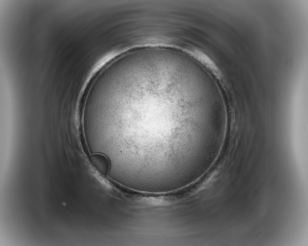 X0000087580990200704271302