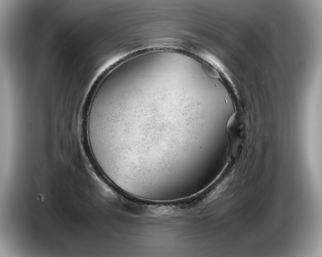 X0000087580991200704271302