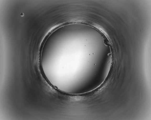 X0000087580992200704271302