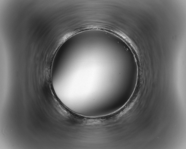 X0000087580993200704271302