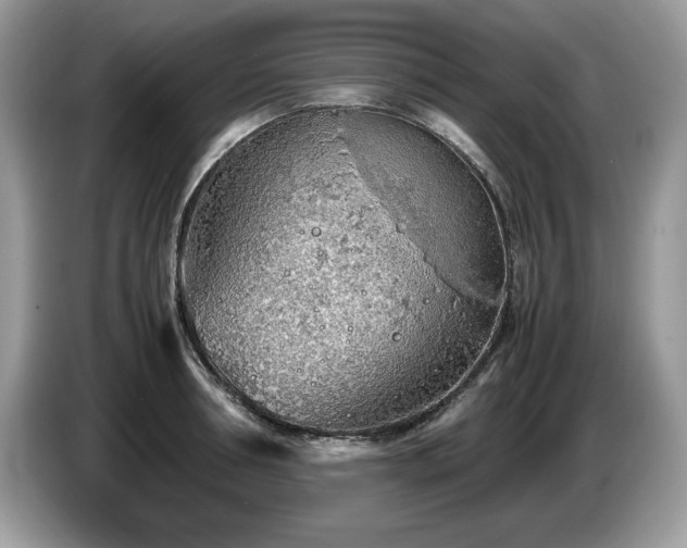 X0000087580994200704271302